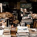 Istanbul, Turkey - Bookkeepers