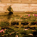 Kowloon - Lily Pool